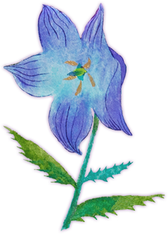 青い花3